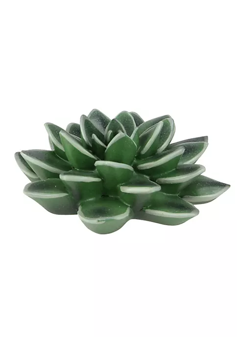 Best Pirce π Melrose 5.5β Decorative Black Prince Faux Succulent Wall Decoration β¨ 2 Best Pirce π Melrose 5.5β Decorative Black Prince Faux Succulent Wall Decoration β¨ - Image 2