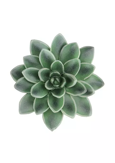 Best Pirce π Melrose 5.5β Decorative Black Prince Faux Succulent Wall Decoration β¨ 3 Best Pirce π Melrose 5.5β Decorative Black Prince Faux Succulent Wall Decoration β¨ - Image 3