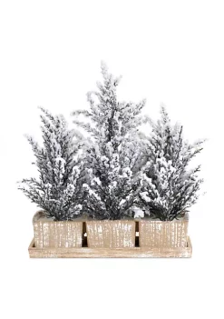 Wholesale 🥰 Melrose 17" Potted Mini Snow Trees on Tray 🎄 Christmas Arrangement 👍