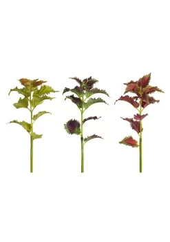Best Pirce ๐งจ Melrose Club Pack of 12 Green and Purple Artificial Coleus Stem Plants 23" ๐
