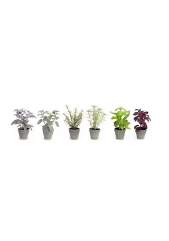 Best Sale 🤩 Melrose Club Pack of 12 Purple and Green Decorative Potted Herbs 7" 🔔