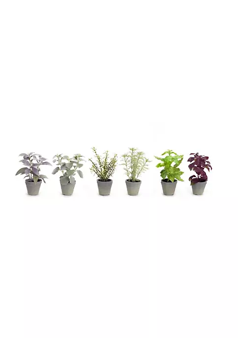 Best Sale 🤩 Melrose Club Pack of 12 Purple and Green Decorative Potted Herbs 7" 🔔 2 Best Sale 🤩 Melrose Club Pack of 12 Purple and Green Decorative Potted Herbs 7" 🔔 - Image 2