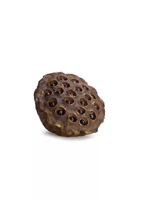 Best reviews of π― Melrose 11.5β Brown Decorative Lotus Flower Inspired Seed Pods Wall or Table Decoration β¨ 2 Best reviews of π― Melrose 11.5β Brown Decorative Lotus Flower Inspired Seed Pods Wall or Table Decoration β¨ - Image 2